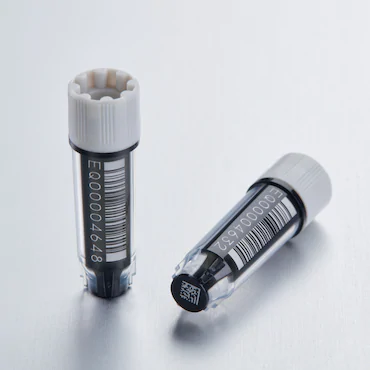 艾本德Eppendorf CryoStorage Vial，無菌, 無菌, 0.5 mL, 不含 DNase、RNase、人類 DNA 和內毒素；外螺紋，預先加蓋灰色管蓋，帶 2D SafeCode 